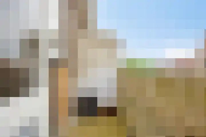 Julianastraat 2 A Leiden thumbnail 20