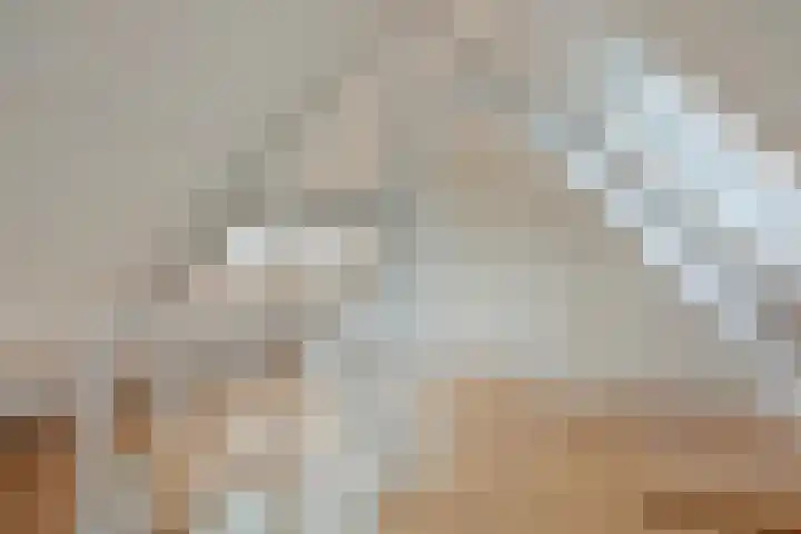 Julianastraat 2 A Leiden thumbnail 30