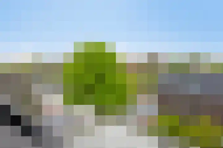 Julianastraat 2 A Leiden thumbnail 33
