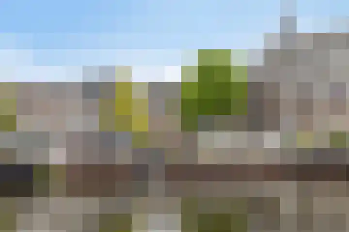 Julianastraat 2 A Leiden thumbnail 36
