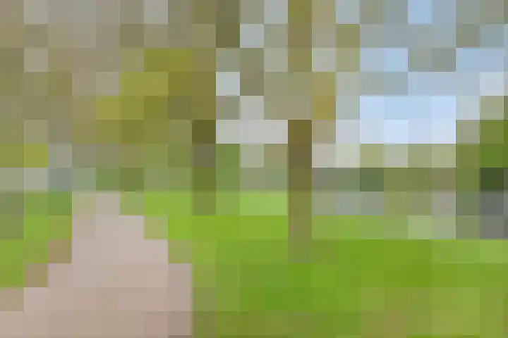Julianastraat 2 A Leiden thumbnail 39