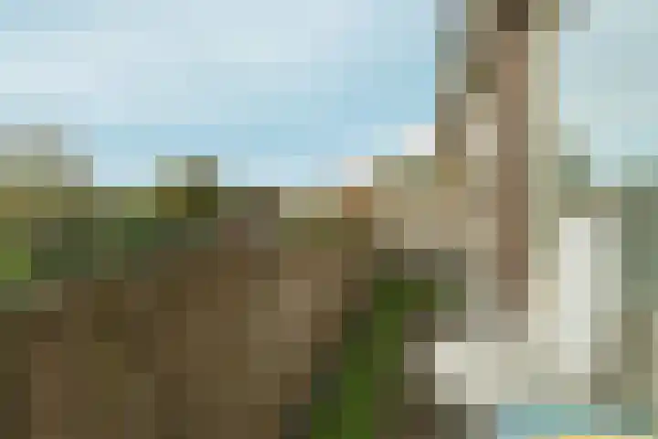 Julianastraat 2 A Wateringen thumbnail 12