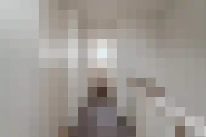 Julianastraat 2 A Wateringen thumbnail 15