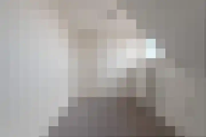 Julianastraat 2 A Wateringen thumbnail 22