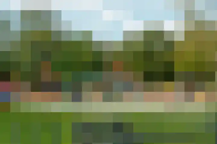Julianastraat 2 A Wateringen thumbnail 24