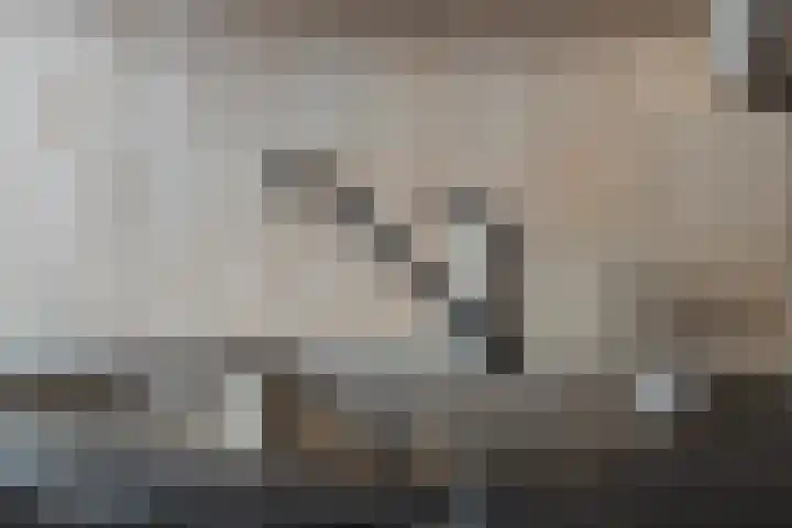 Julianastraat 2 A Wateringen thumbnail 9