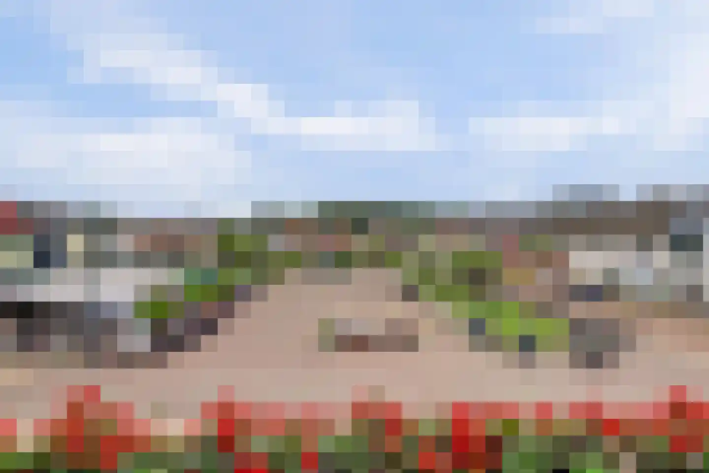Julianastraat 2 B Egmond aan Zee thumbnail 12