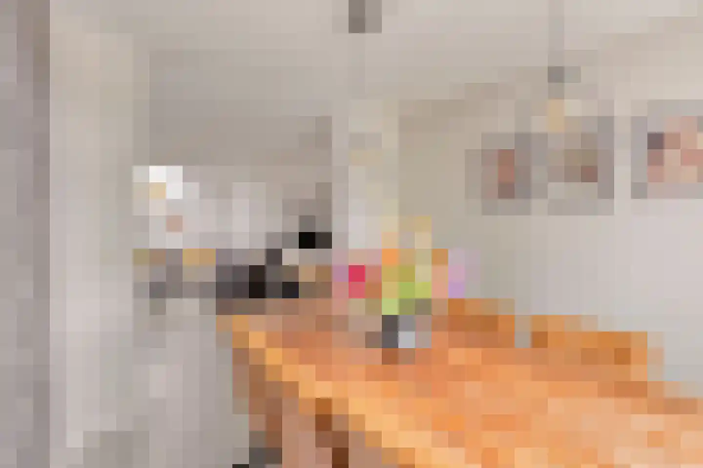 Julianastraat 2 Boekel thumbnail 15