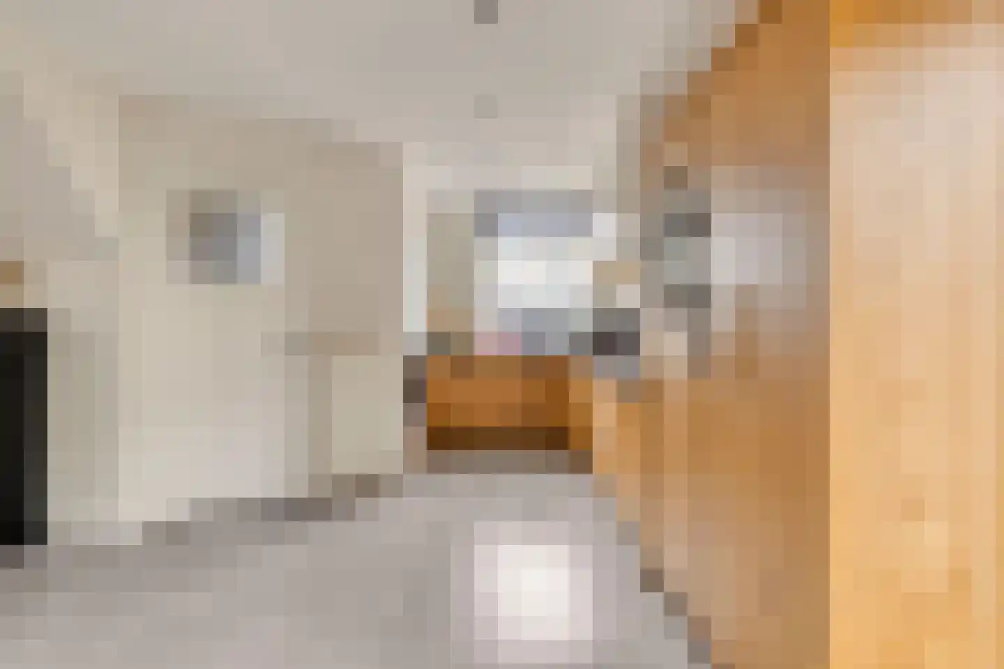 Julianastraat 2 Boekel thumbnail 18