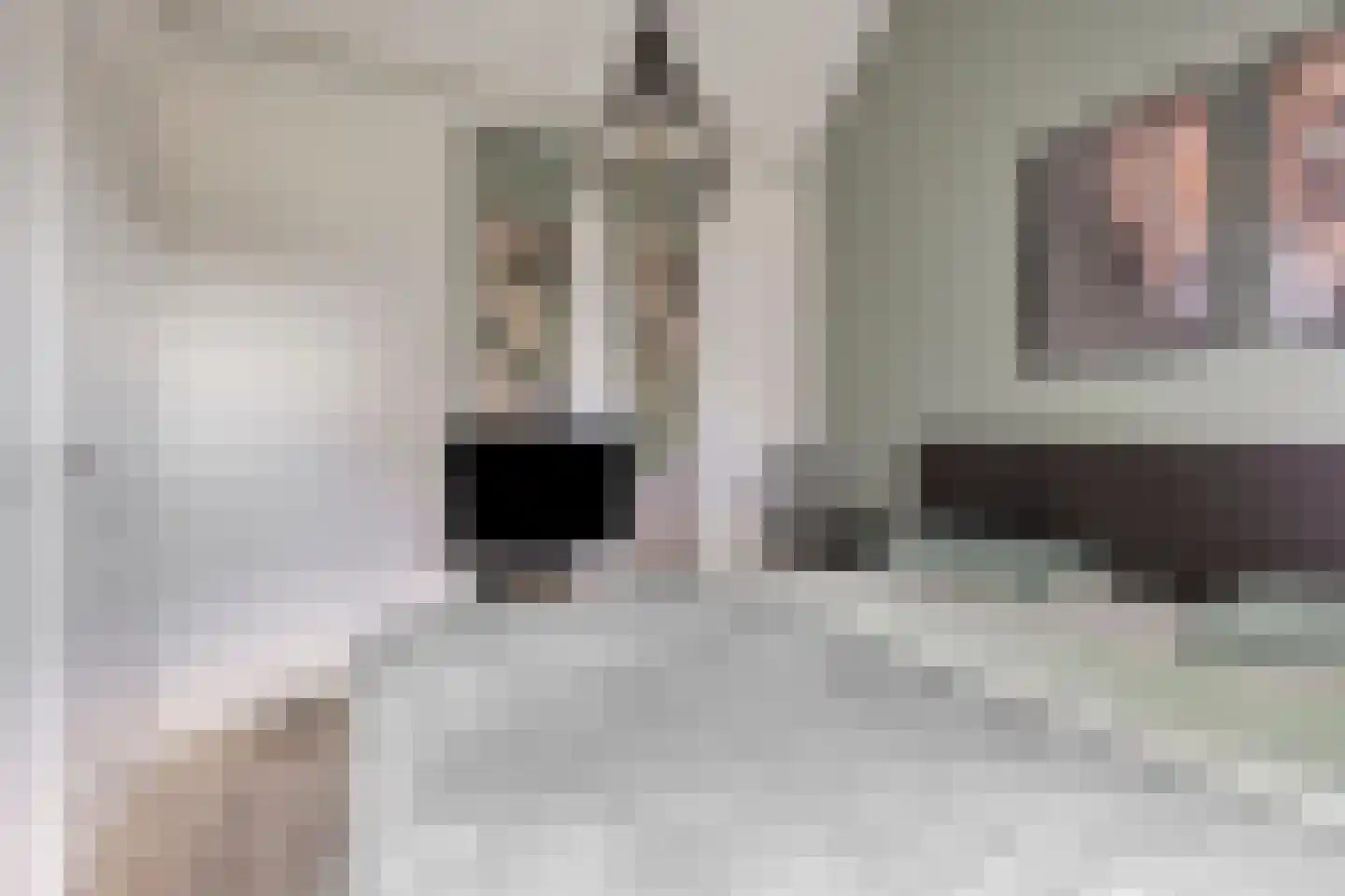 Julianastraat 2 Boekel thumbnail 28
