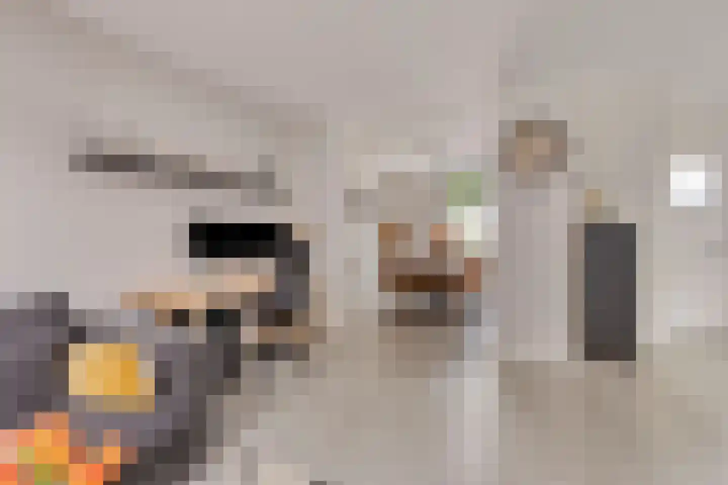 Julianastraat 2 Boekel thumbnail 6