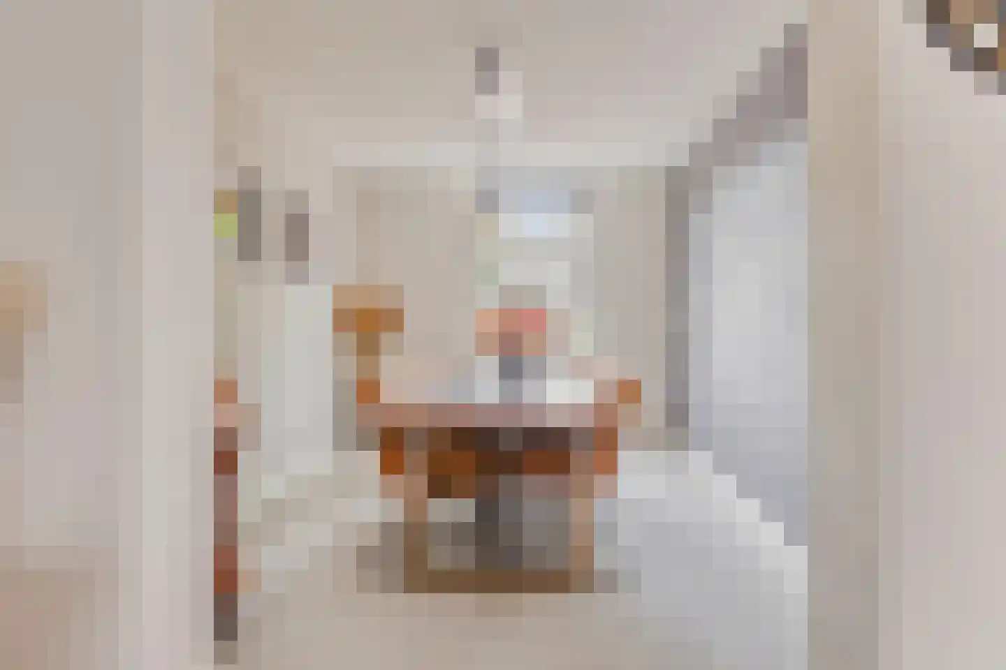 Julianastraat 2 Boekel thumbnail 6