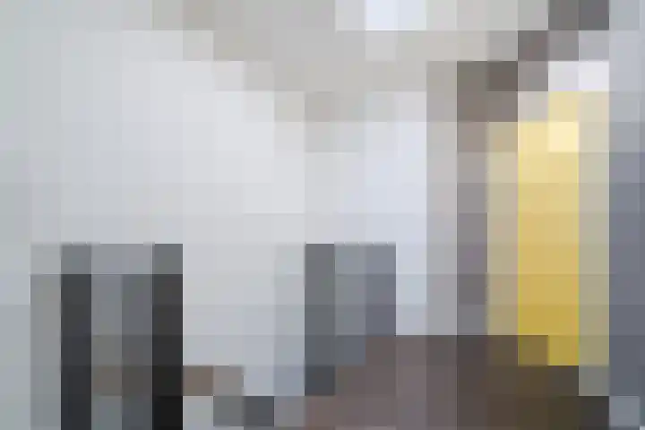 Julianastraat 2 C Egmond aan Zee thumbnail 20