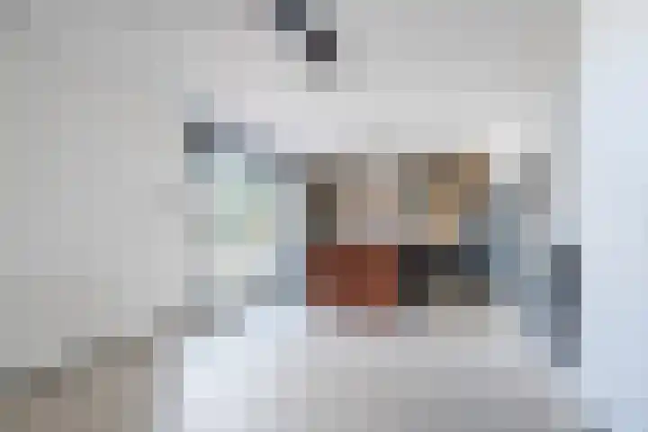 Julianastraat 2 C Egmond aan Zee thumbnail 9