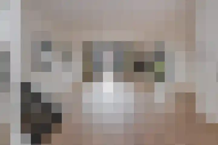 Julianastraat 2 D Alphen aan den Rijn thumbnail 12