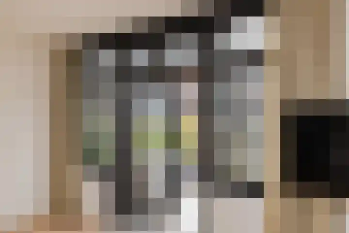 Julianastraat 2 D Alphen aan den Rijn thumbnail 14