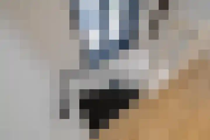 Julianastraat 2 D Alphen aan den Rijn thumbnail 19