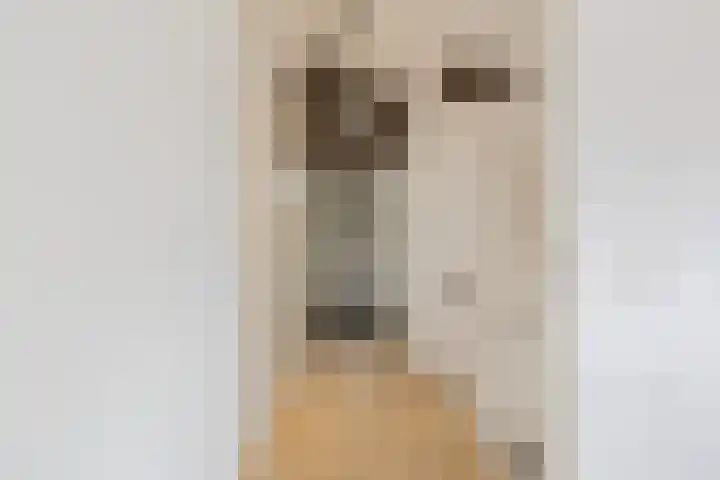Julianastraat 2 D Alphen aan den Rijn thumbnail 21