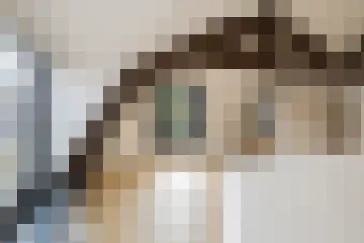Julianastraat 2 D Alphen aan den Rijn thumbnail 22