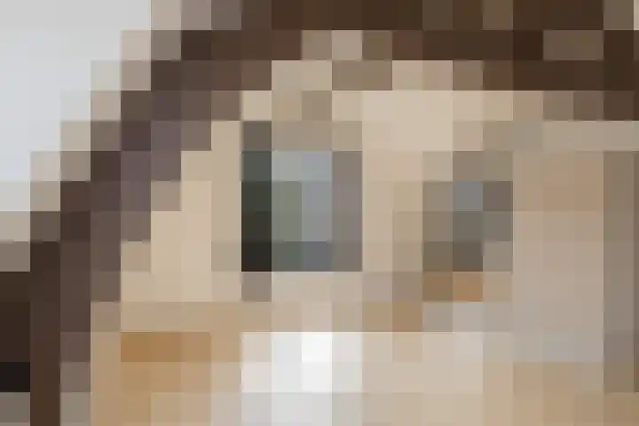 Julianastraat 2 D Alphen aan den Rijn thumbnail 24