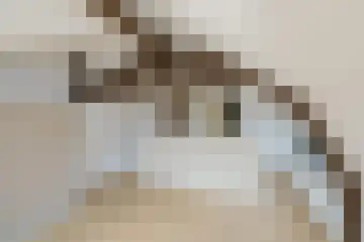 Julianastraat 2 D Alphen aan den Rijn thumbnail 25