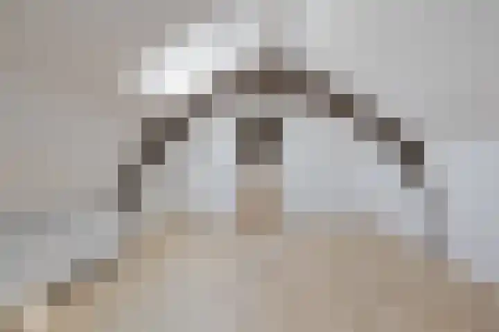 Julianastraat 2 D Alphen aan den Rijn thumbnail 27