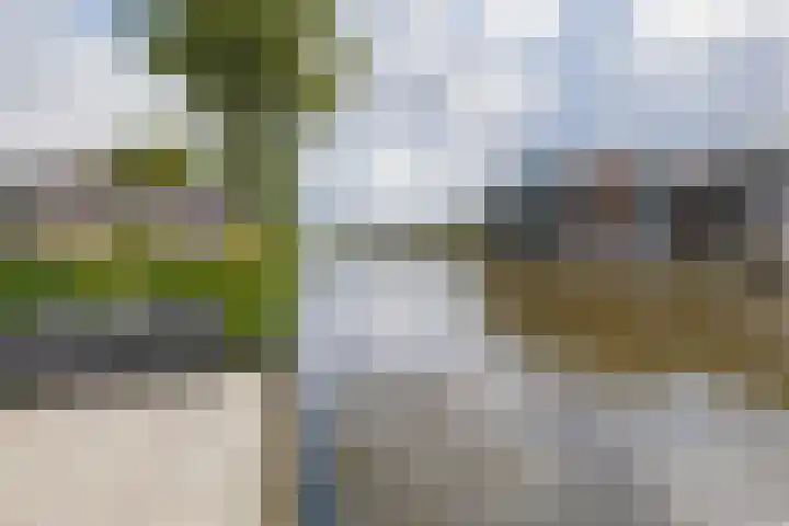 Julianastraat 2 D Alphen aan den Rijn thumbnail 37