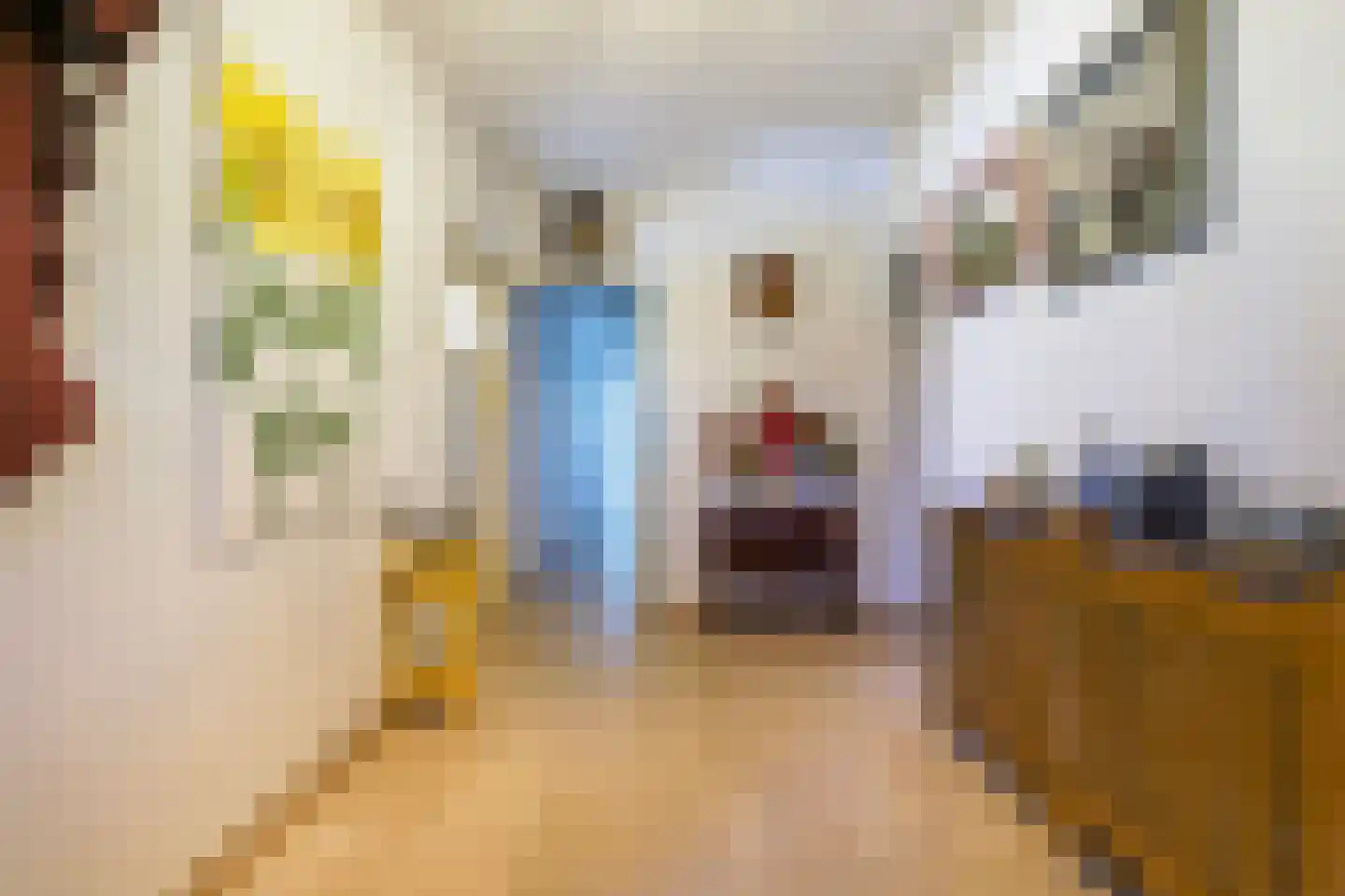 Julianastraat 2 Diessen thumbnail 15