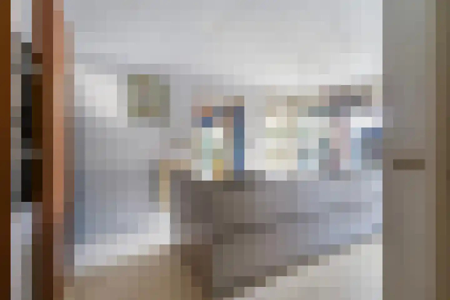 Julianastraat 2 Diessen thumbnail 27