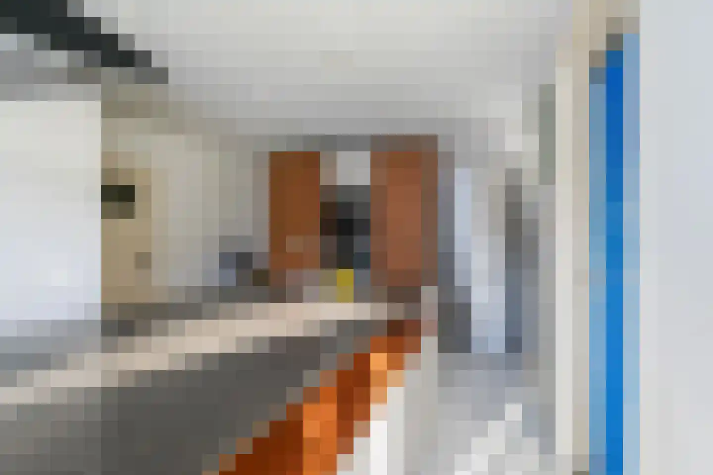 Julianastraat 2 Diessen thumbnail 31