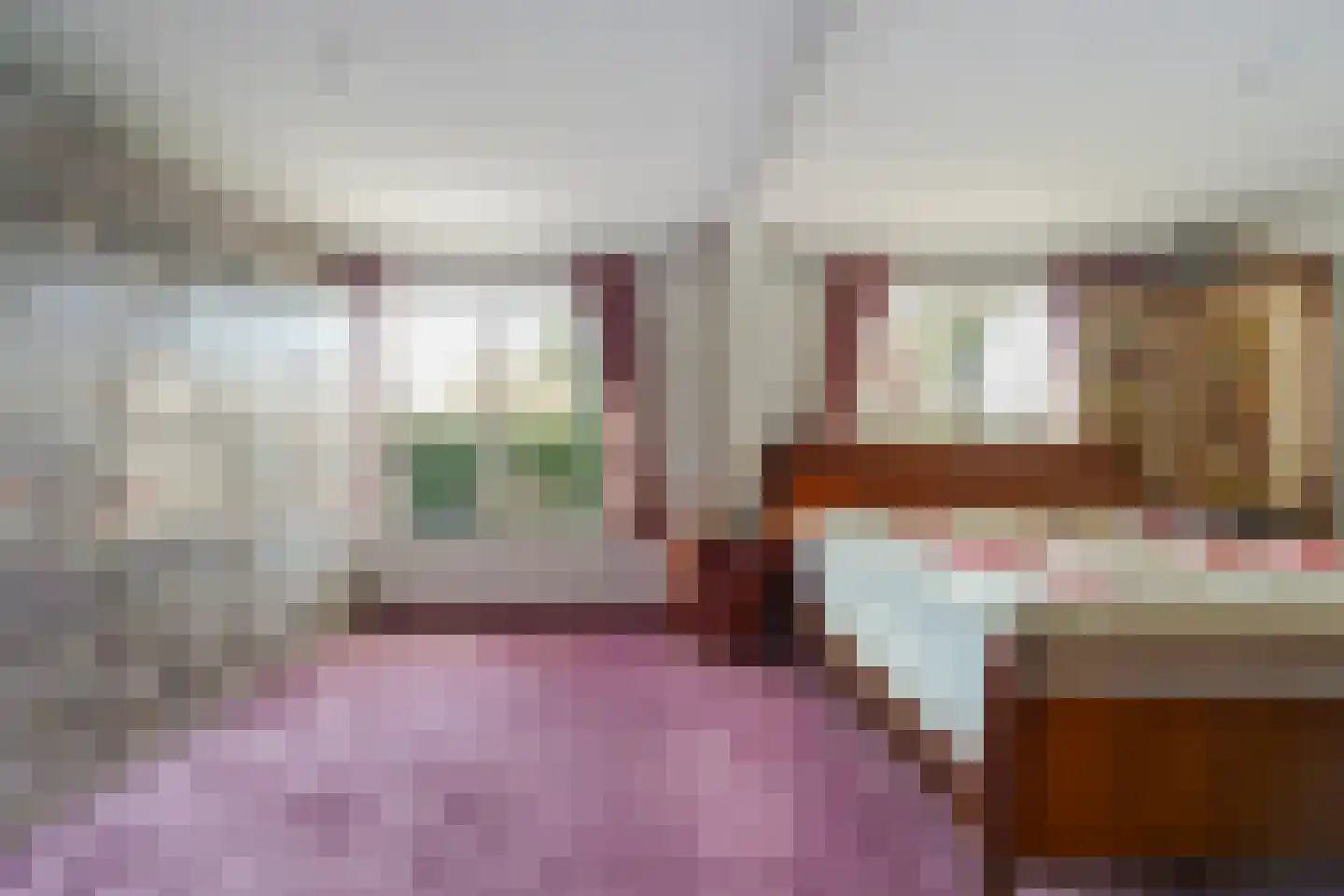 Julianastraat 2 Diessen thumbnail 34