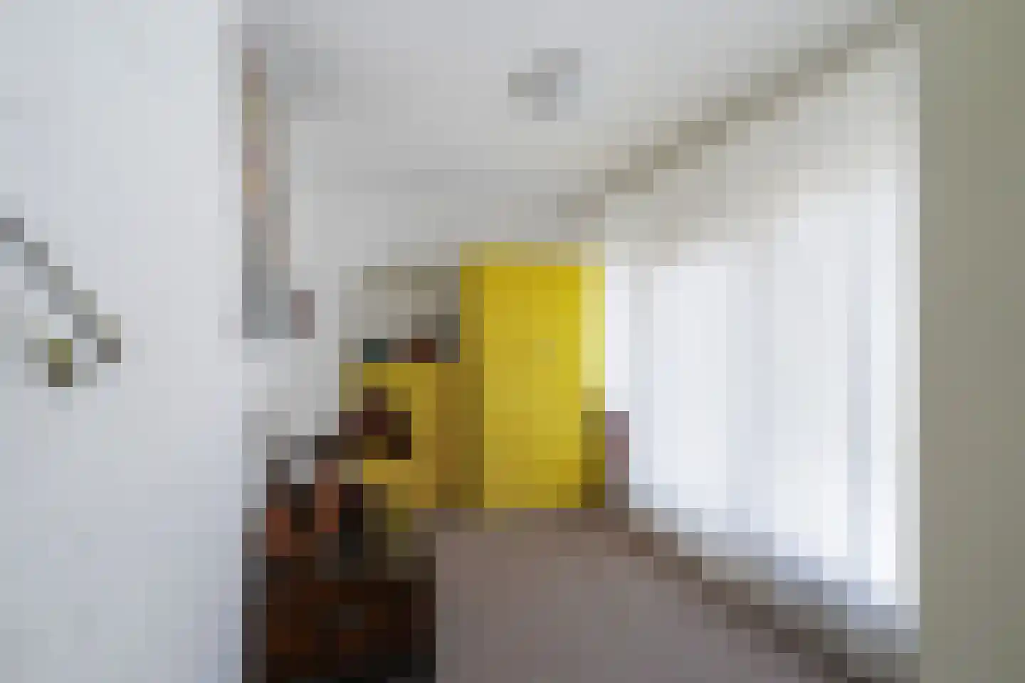 Julianastraat 2 Diessen thumbnail 36