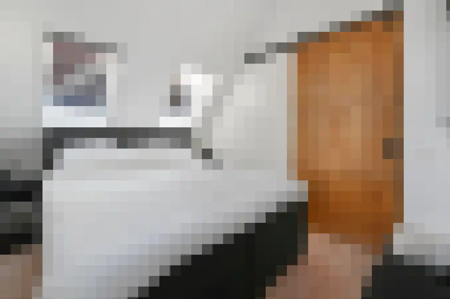 Julianastraat 2 E Alphen aan den Rijn thumbnail 15