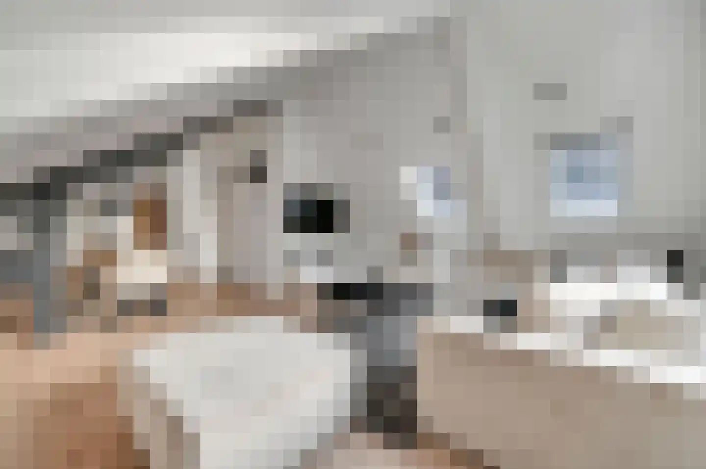 Julianastraat 2 E Alphen aan den Rijn thumbnail 4