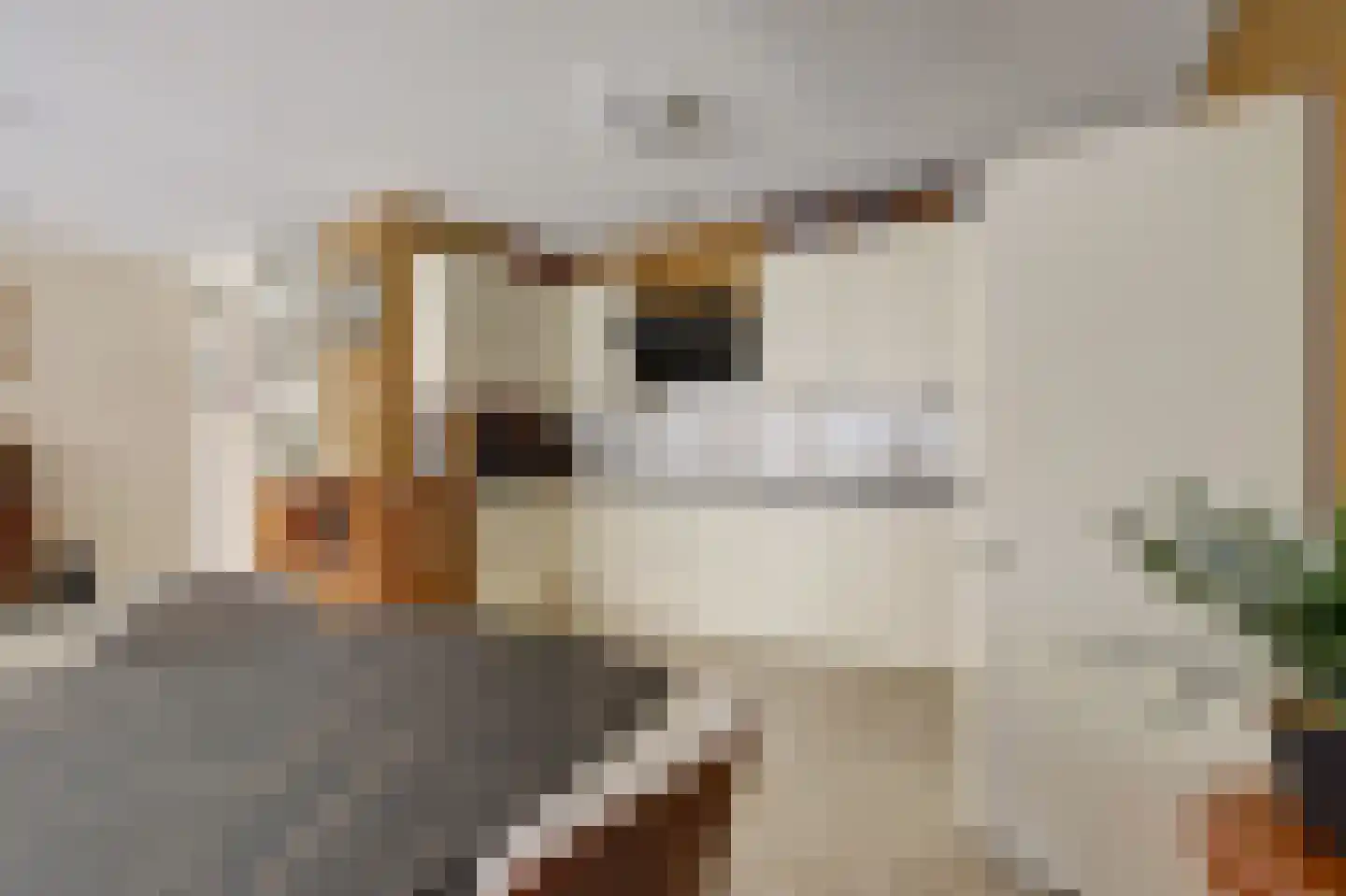 Julianastraat 2 e Berkel en Rodenrijs thumbnail 14