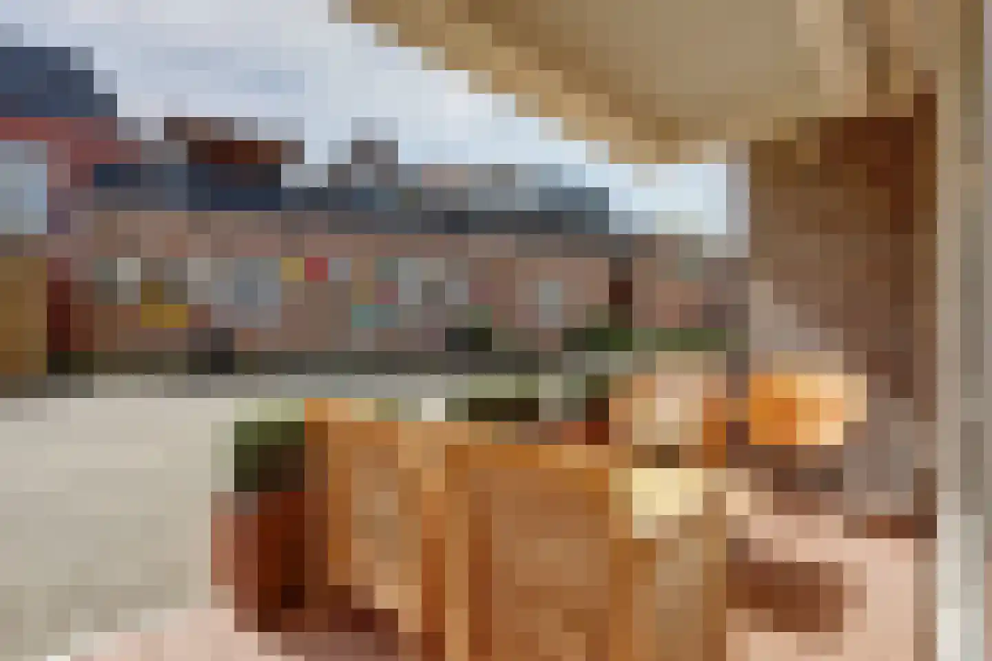 Julianastraat 2 e Berkel en Rodenrijs thumbnail 26