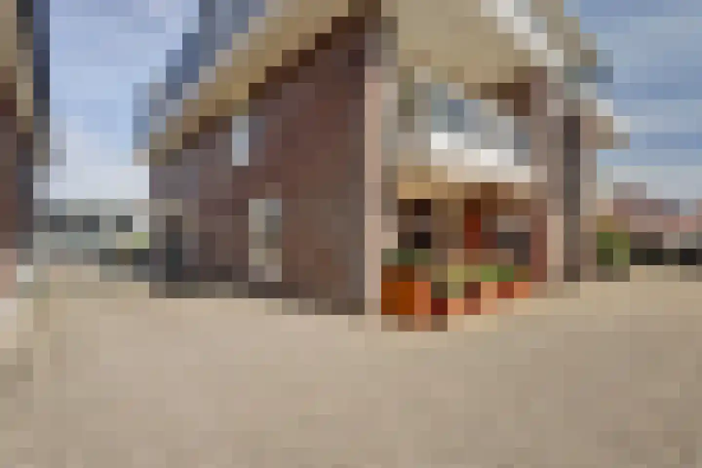 Julianastraat 2 e Berkel en Rodenrijs thumbnail 29