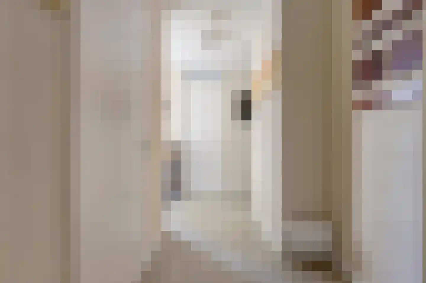 Julianastraat 2 e Berkel en Rodenrijs thumbnail 8