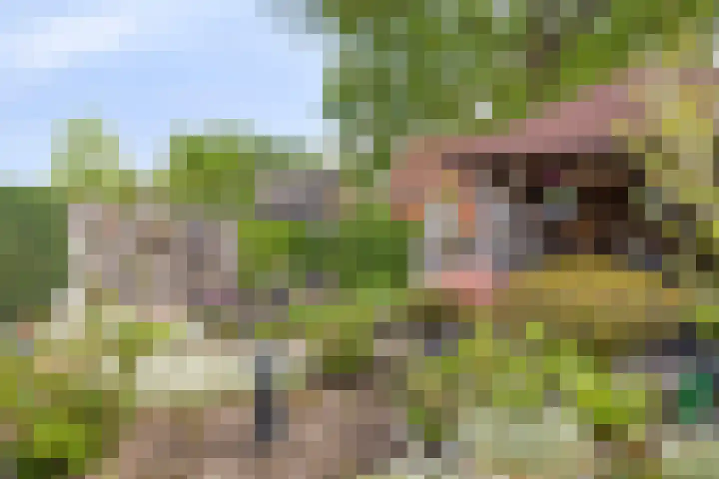 Julianastraat 2 Enter thumbnail 26