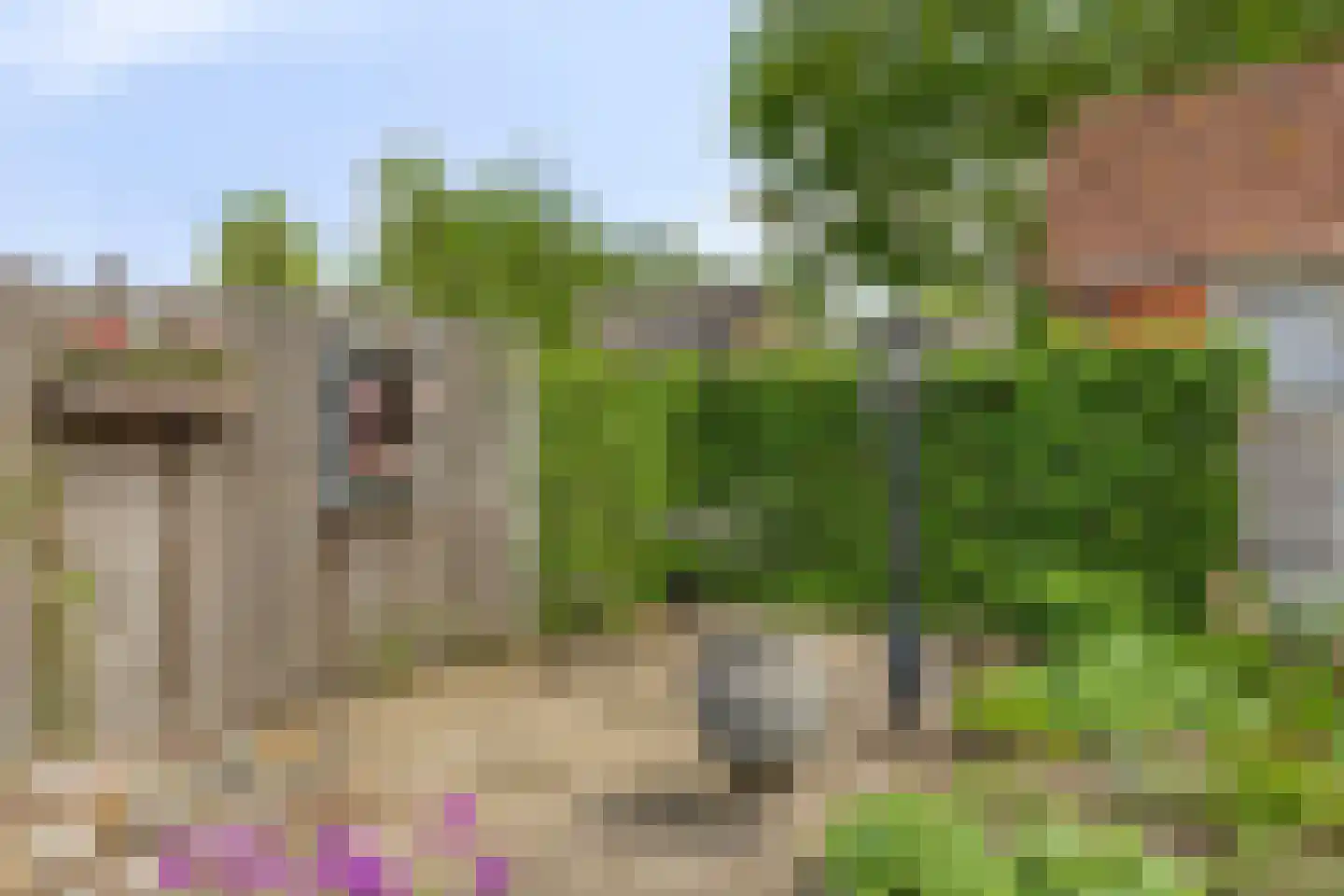 Julianastraat 2 Enter thumbnail 29
