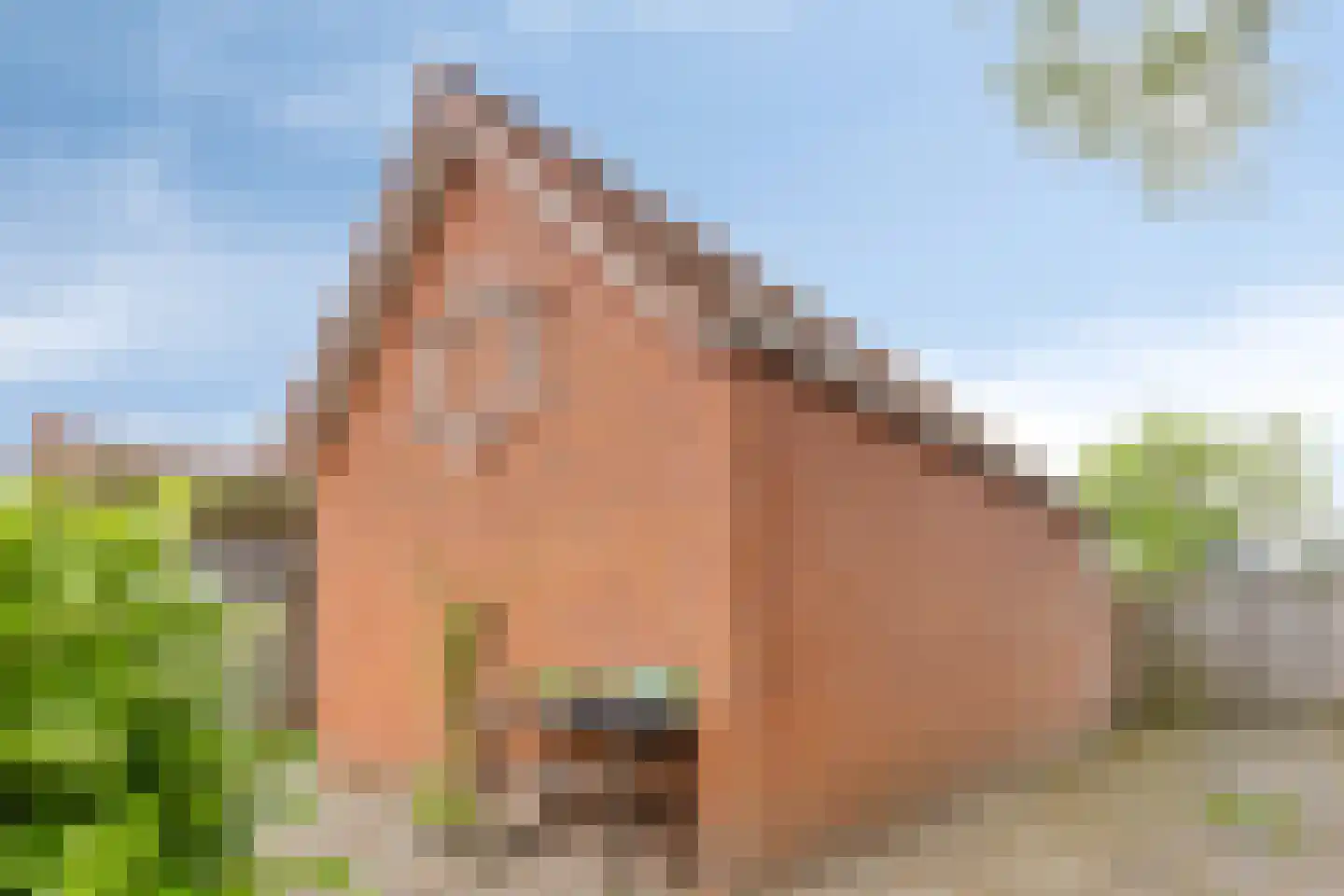 Julianastraat 2 Enter thumbnail 31