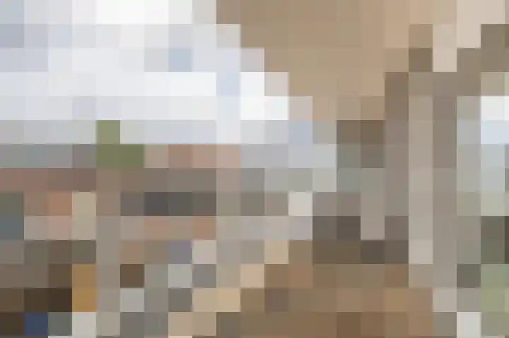 Julianastraat 2 l Berkel en Rodenrijs thumbnail 16