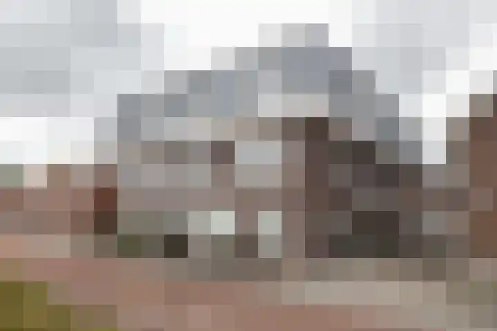 Julianastraat 2 l Berkel en Rodenrijs thumbnail 20