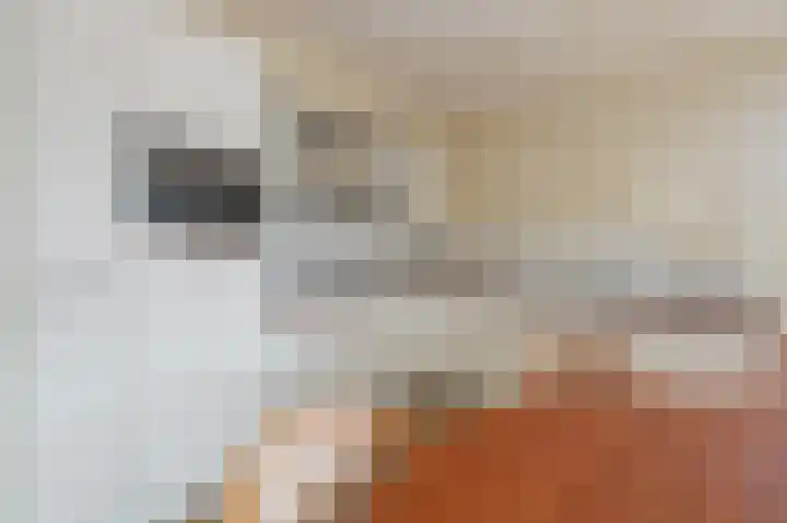 Julianastraat 2 l Berkel en Rodenrijs thumbnail 6