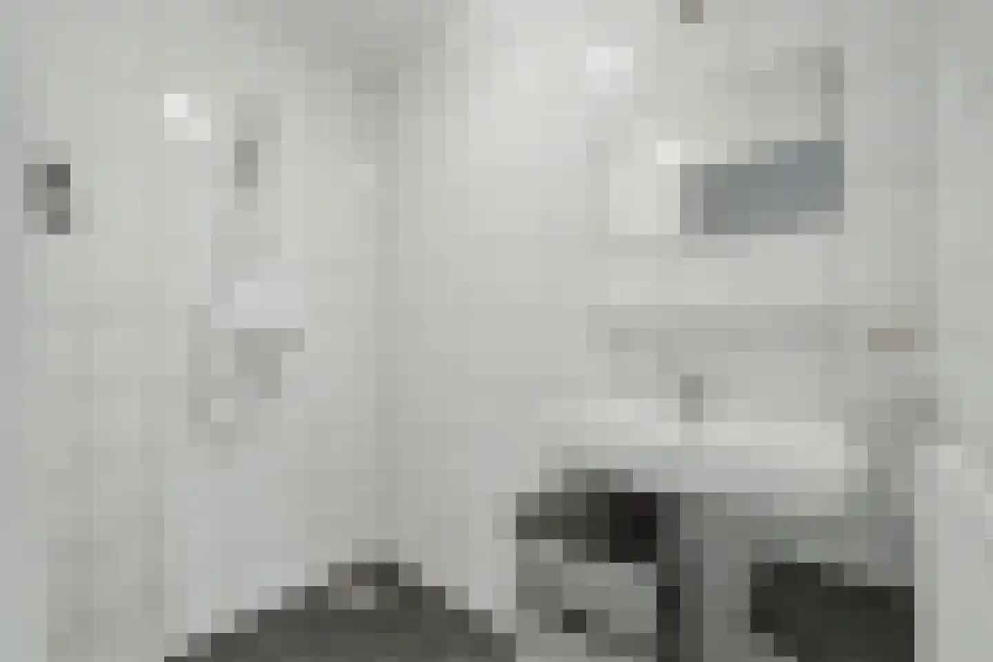Julianastraat 2 Nijverdal thumbnail 10