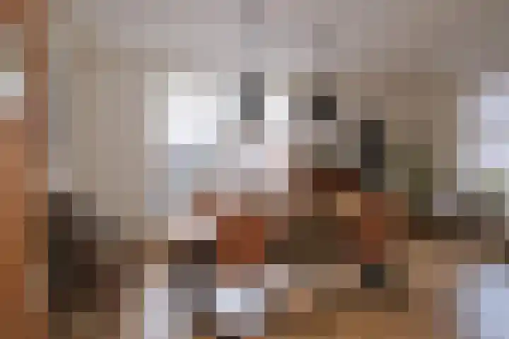 Julianastraat 20 Almelo thumbnail 6
