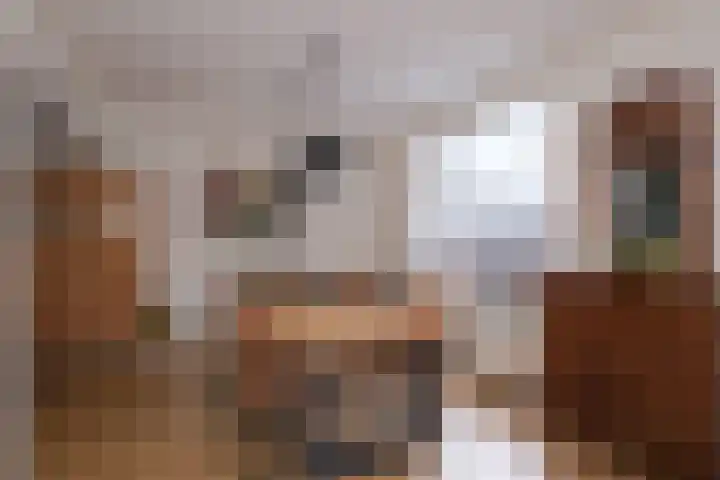 Julianastraat 20 Almelo thumbnail 7
