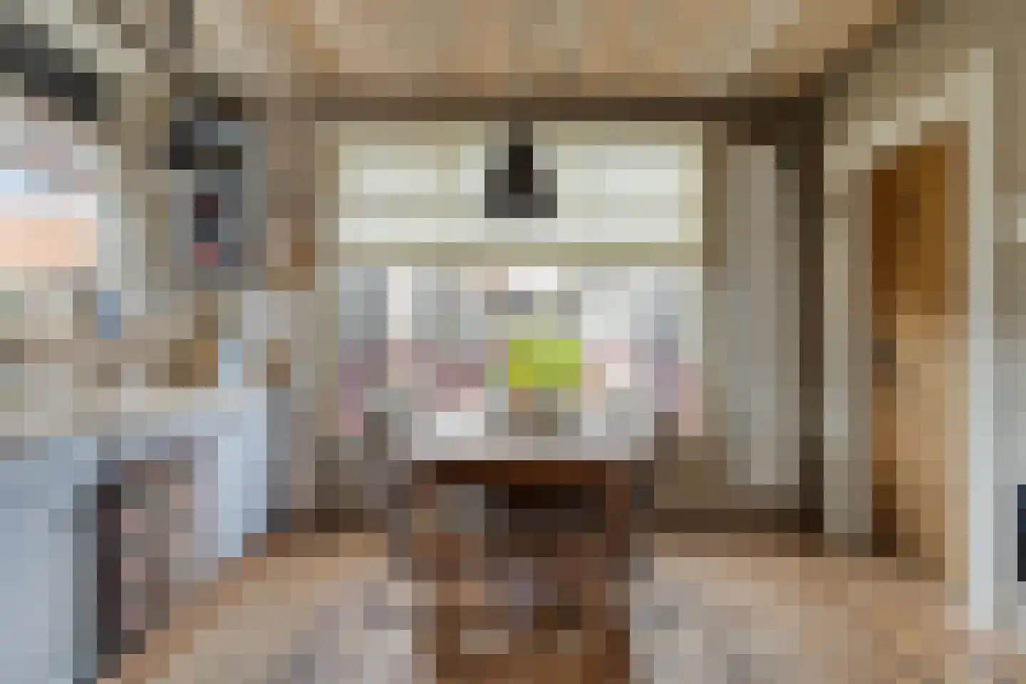 Julianastraat 20 Dongen thumbnail 11