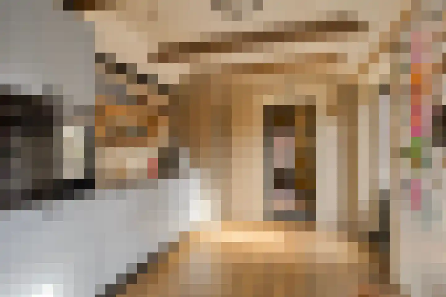 Julianastraat 20 Dongen thumbnail 13