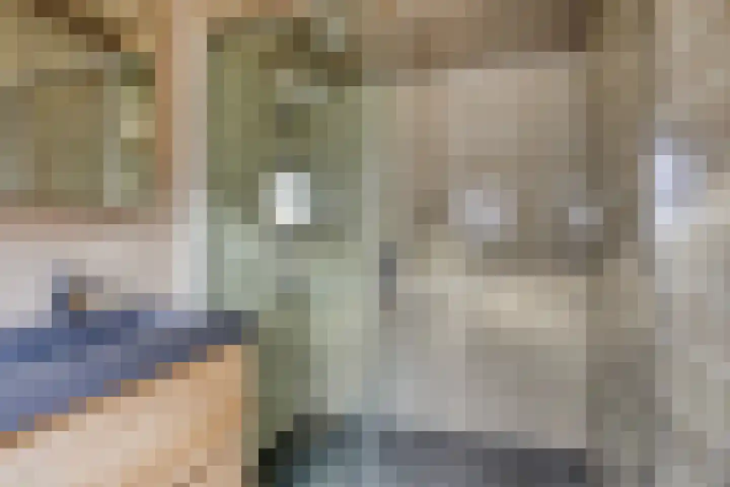 Julianastraat 20 Dongen thumbnail 14